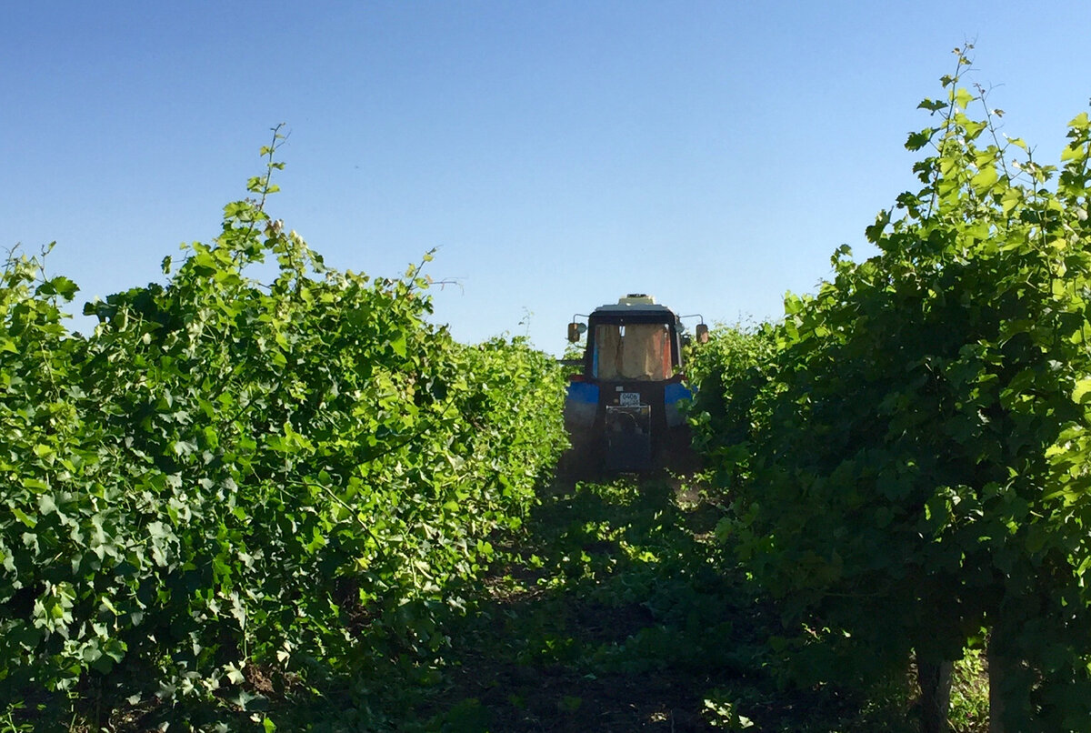 Трактору, конечно, тоже работы хватает, но у него хоть руки к вечеру не отваливаются...