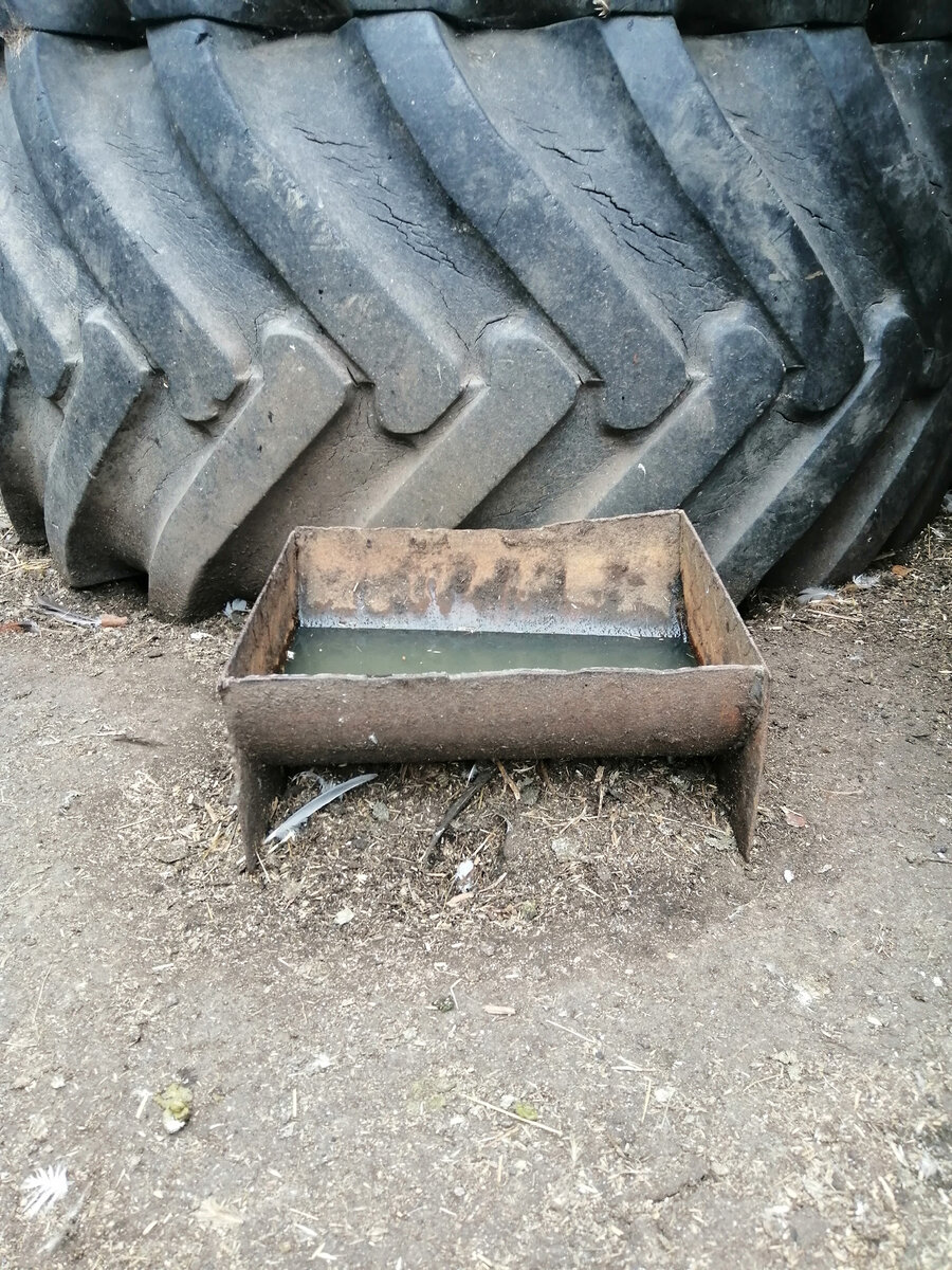 Фото автора. Кормушка-поилка))) 