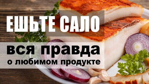 Едим сало регулярно – вся правда о любимом продукте