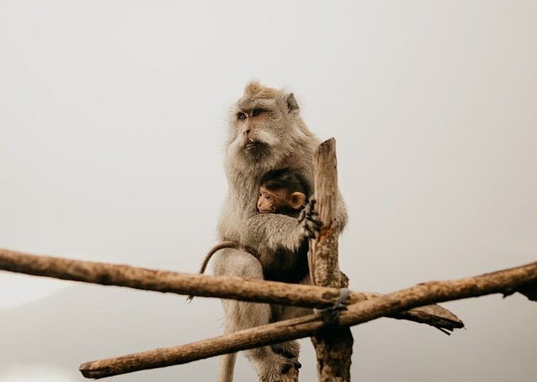 Моя "краткая” история переезда на Бали