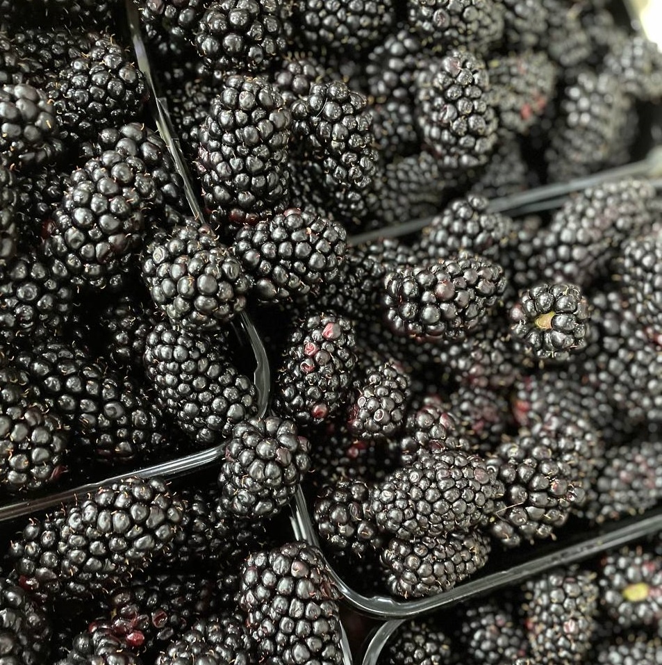 Ежевика в Москве. Фото Мангоед.ру