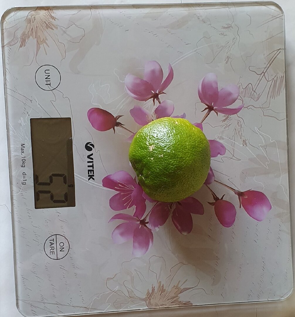 Фото Лужецкой Натальи плод нашего каламондина на весах 14 августа 2021 года