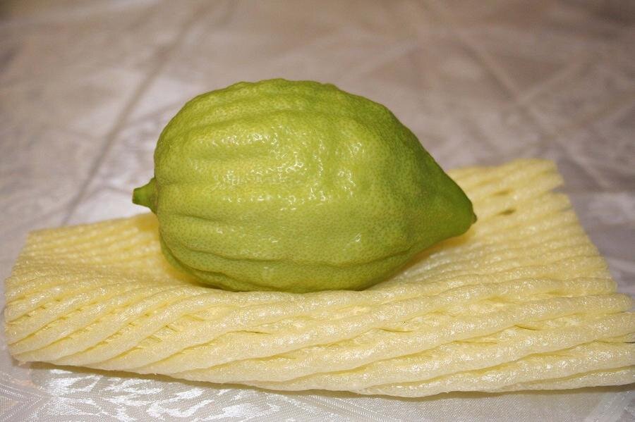 Фото: pixabay.com 