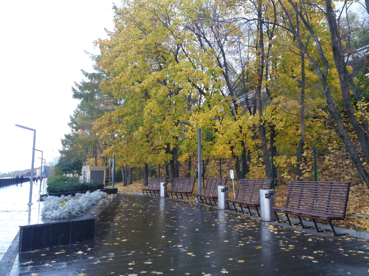 Осень в родном городе, фото автора
