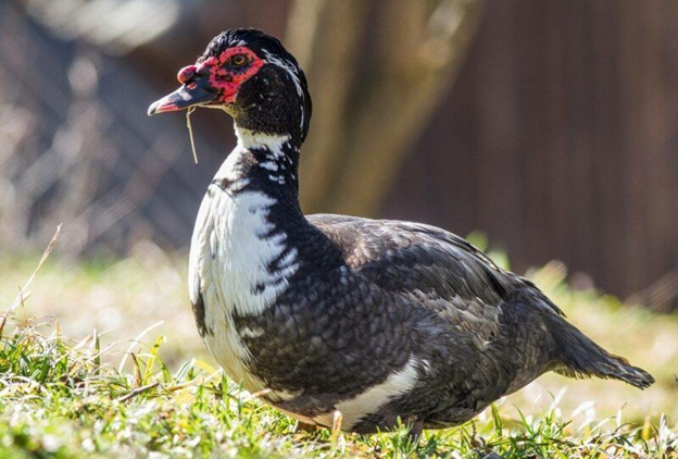 фото взято из доступных источников на Яндексе.