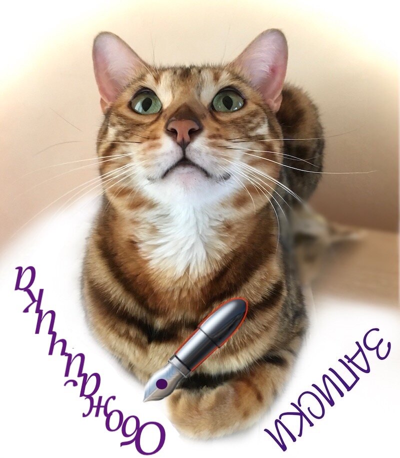 Утро мяу. Доброе мяу. Доброе утро кошечка. Кошка мяу. Котики среда.