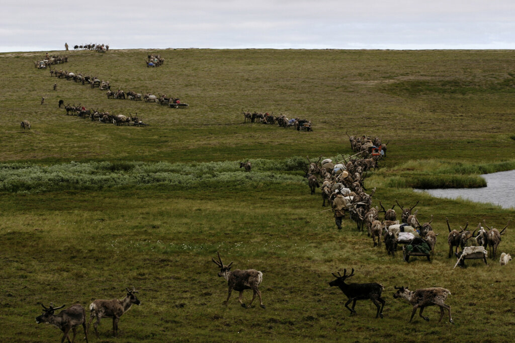 Фото: Вадим Кантор