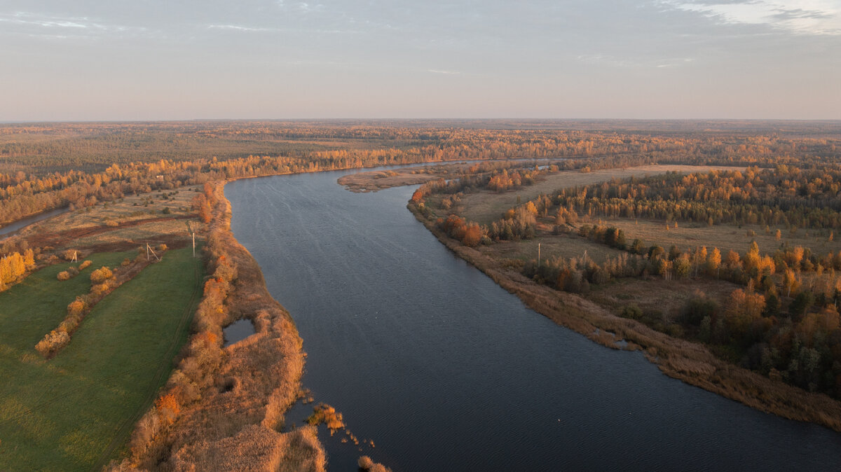 Река Луга - фото и картинки: 59 штук
