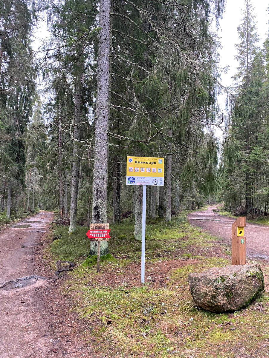 Начало тропы