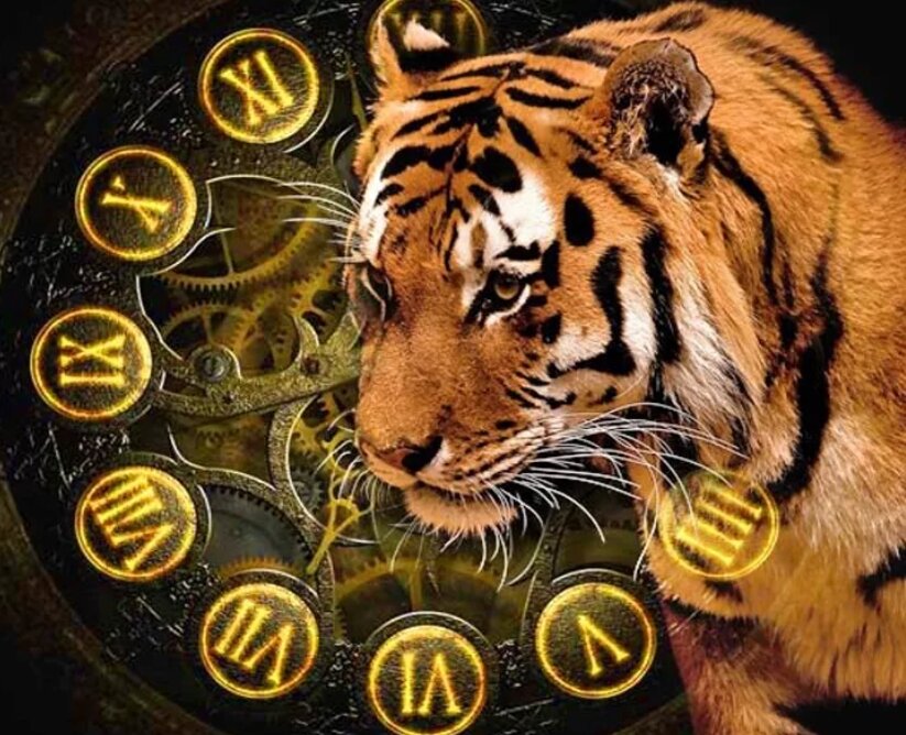 Фото: Яндекс Картинки.