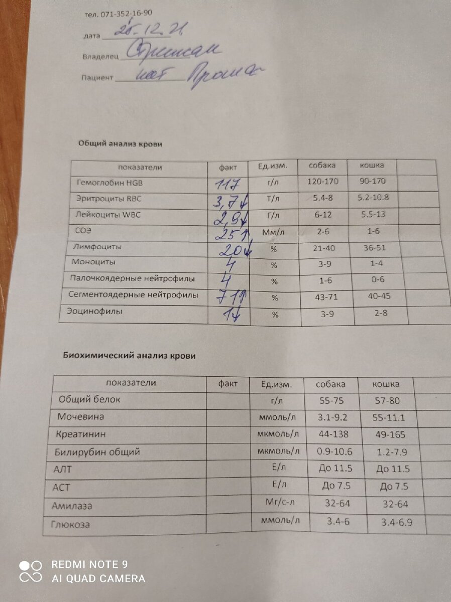 -2