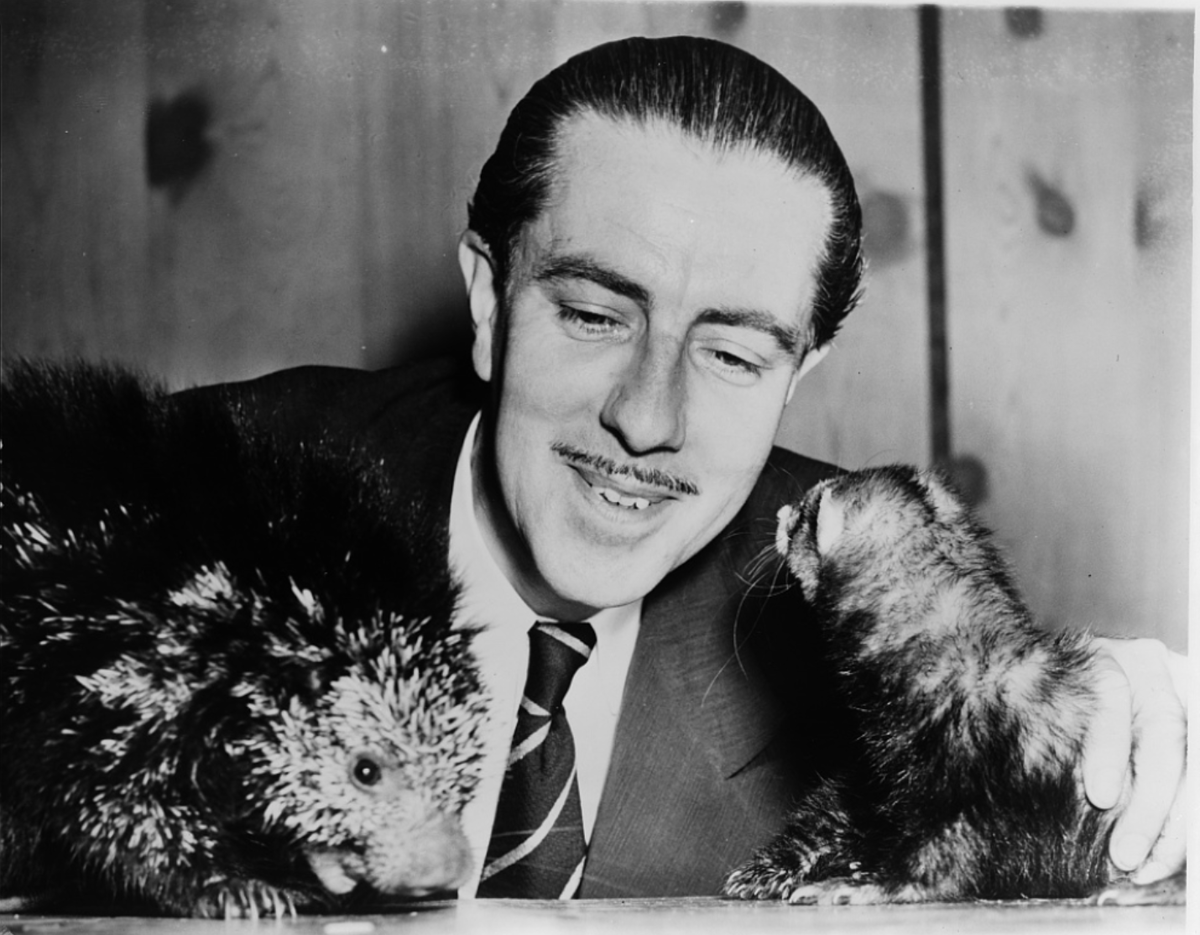 Шотландско-американский биолог и криптозоолог Айвен Сандерсон, 1954 г.