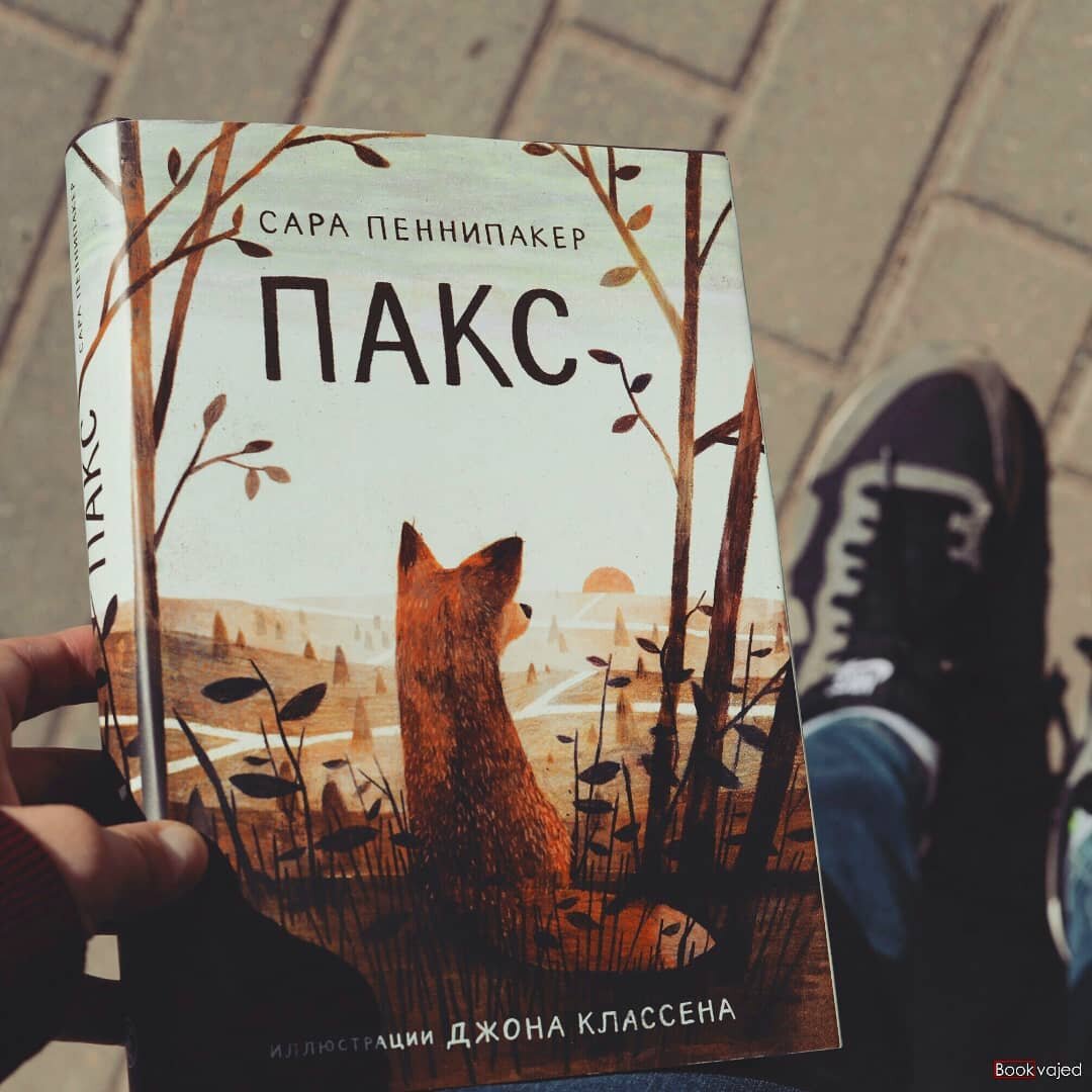 Фото из инстаграма @bookvajed