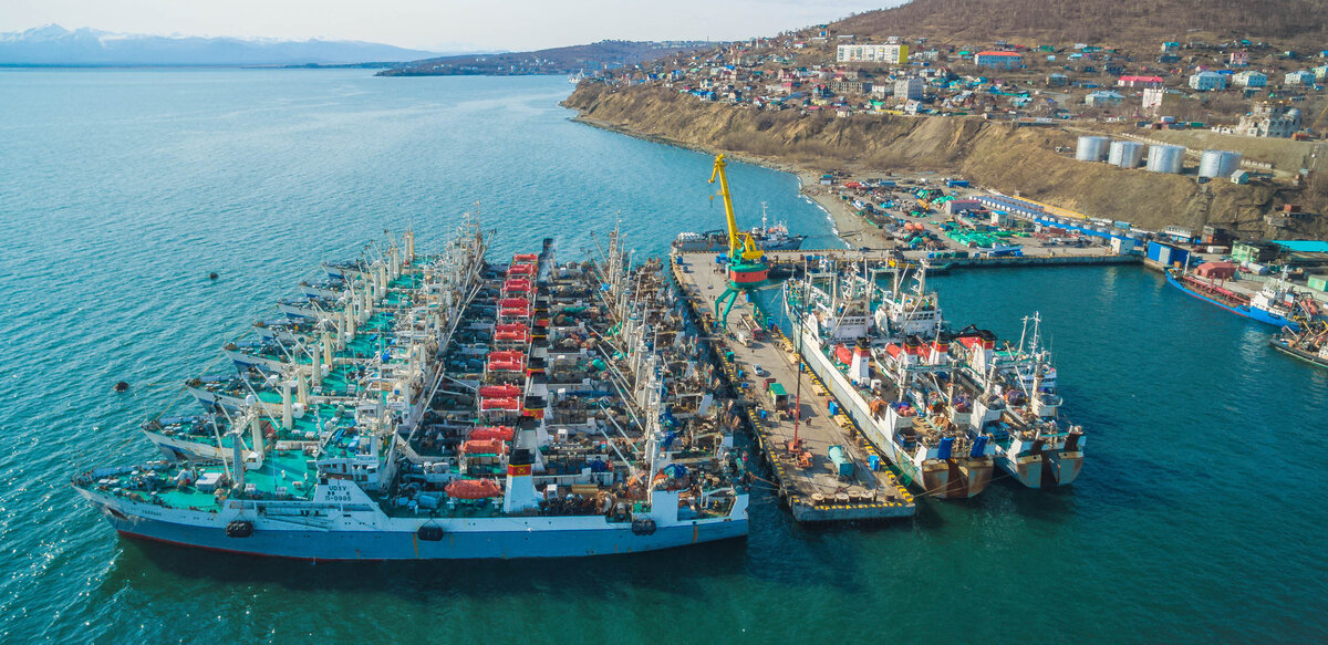 Сайт "Океанрыбфлот": У рыбопромышленников опять проблемы с поставкой рыбы в порты КНР 