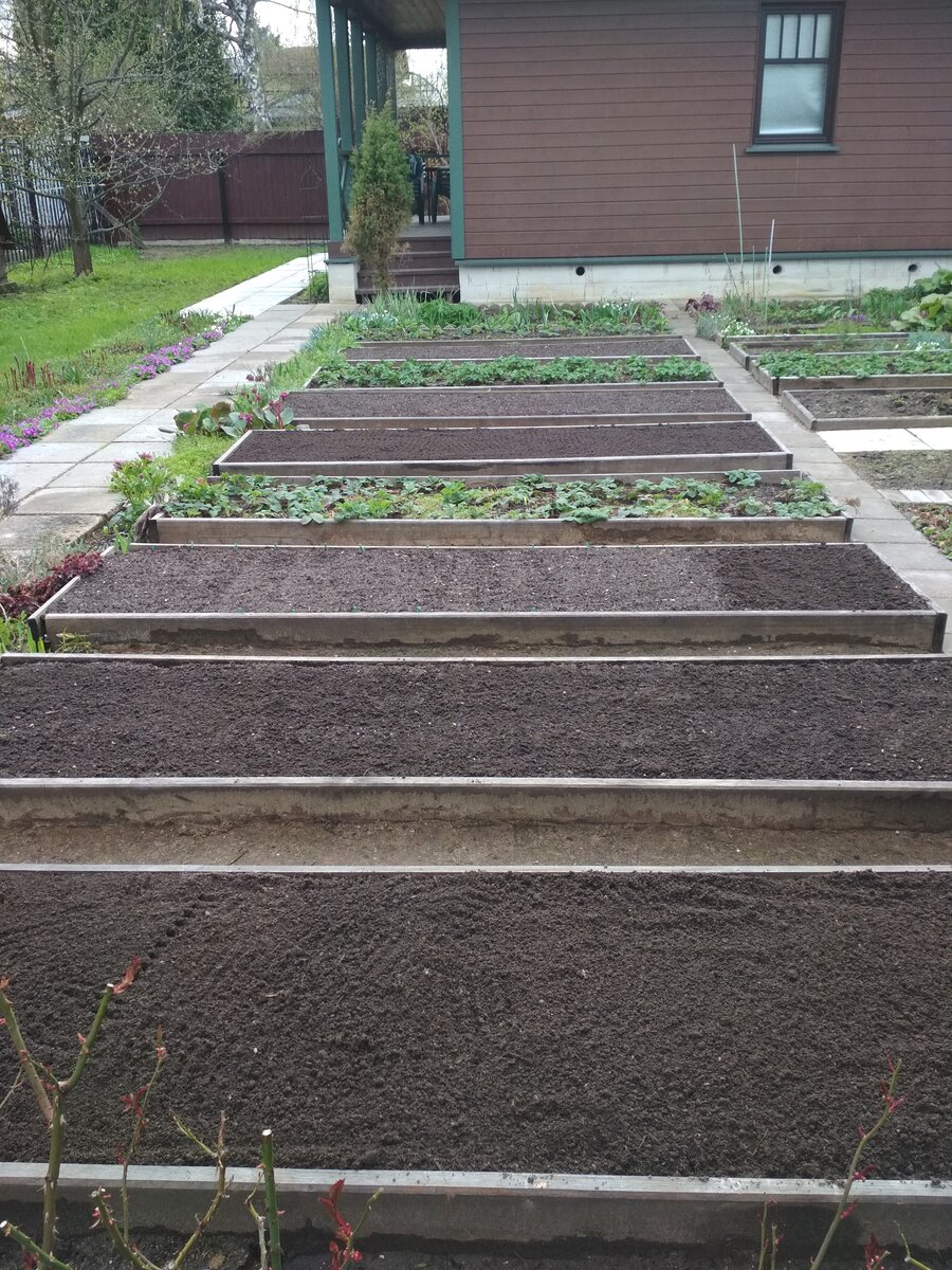 Начало мая.