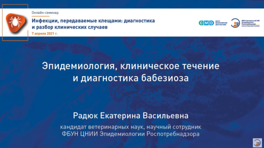 Эпидемиология, клиническое течение и диагностика бабезиоза