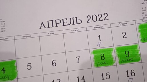 Посадочные дни огурцов в апреле 24 года