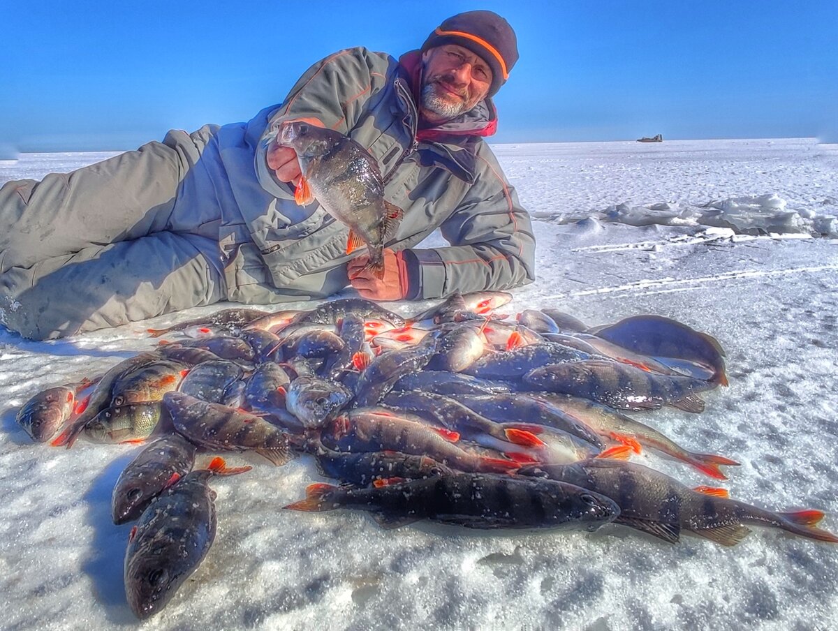 фото зимних удочек с уловом на льду