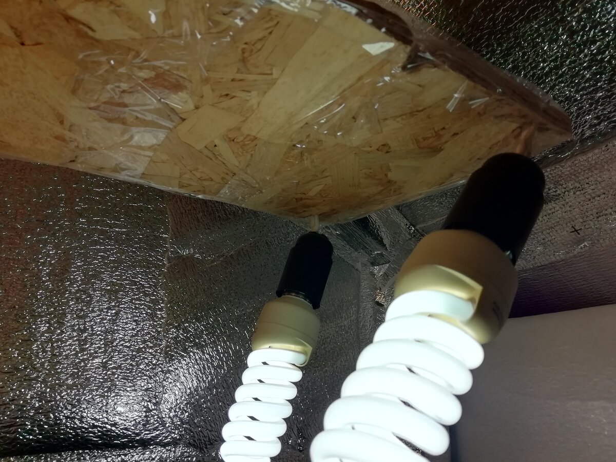 Как сделать светильник для рассады в домашних условиях