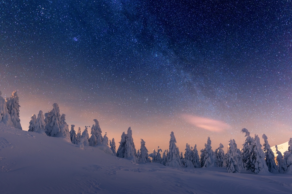 Фото: shutterstock.com
