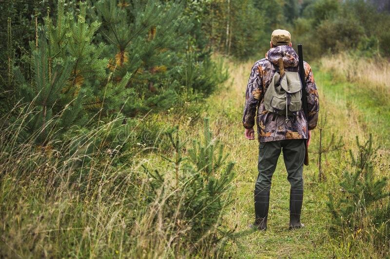 фото из открытого доступного источника сети интернет