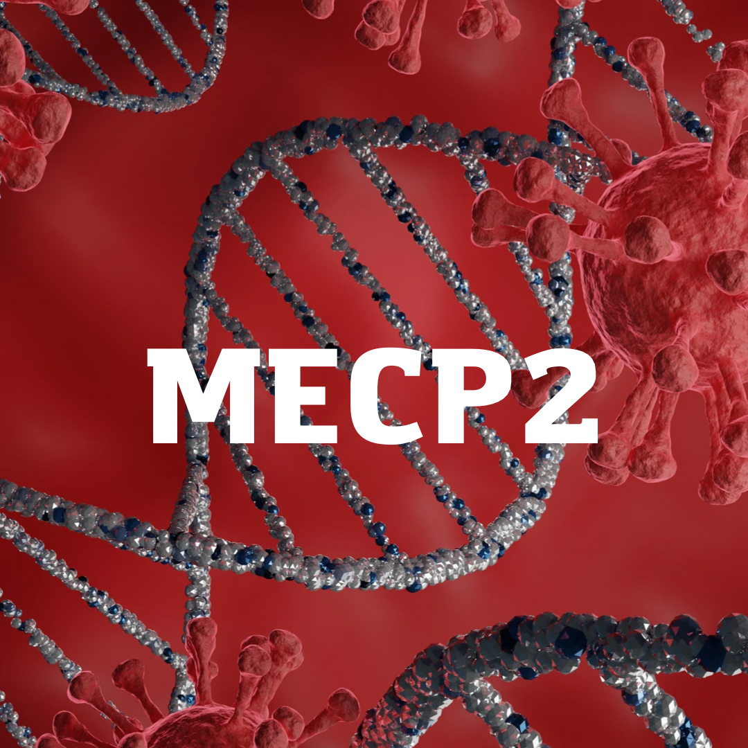 MECP2 - Маленькая поломка, которая может изменить целую жизнь.