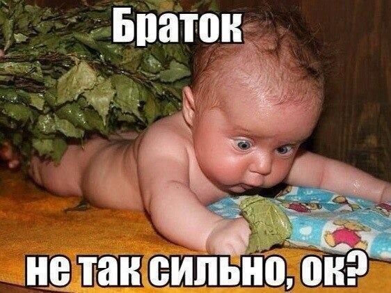 Из открытых источников: Яндекс. Картинки
