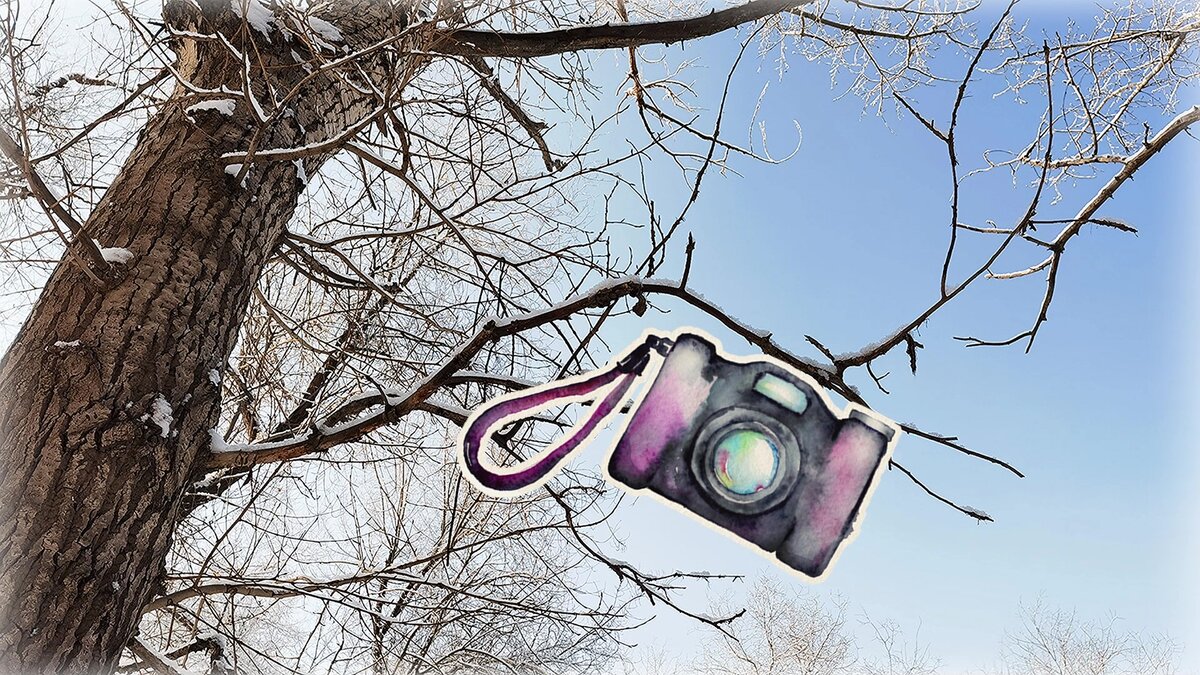 Прогулка по городу. Фото автора.