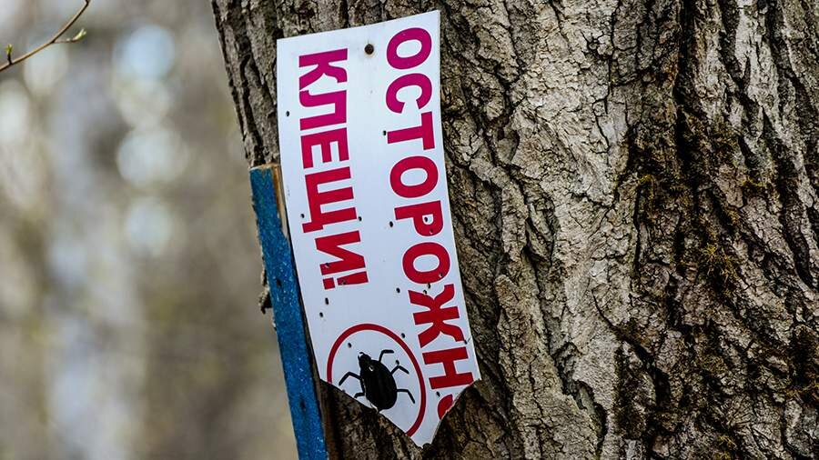 Фото: ТАСС/URA.RU/Вадим Ахметов