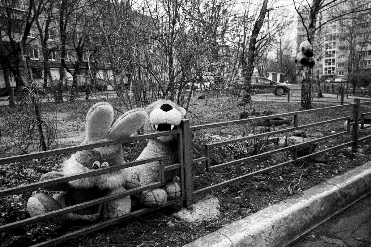 Типичный дворик в Калуге