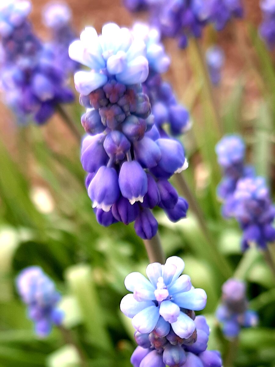 Краски весны
