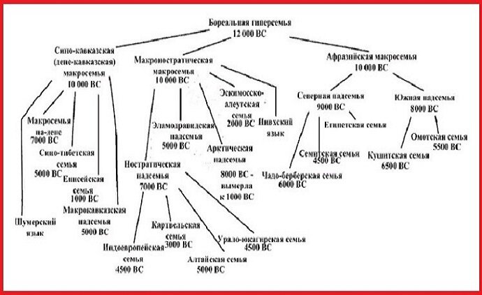 Языковая семья чечни