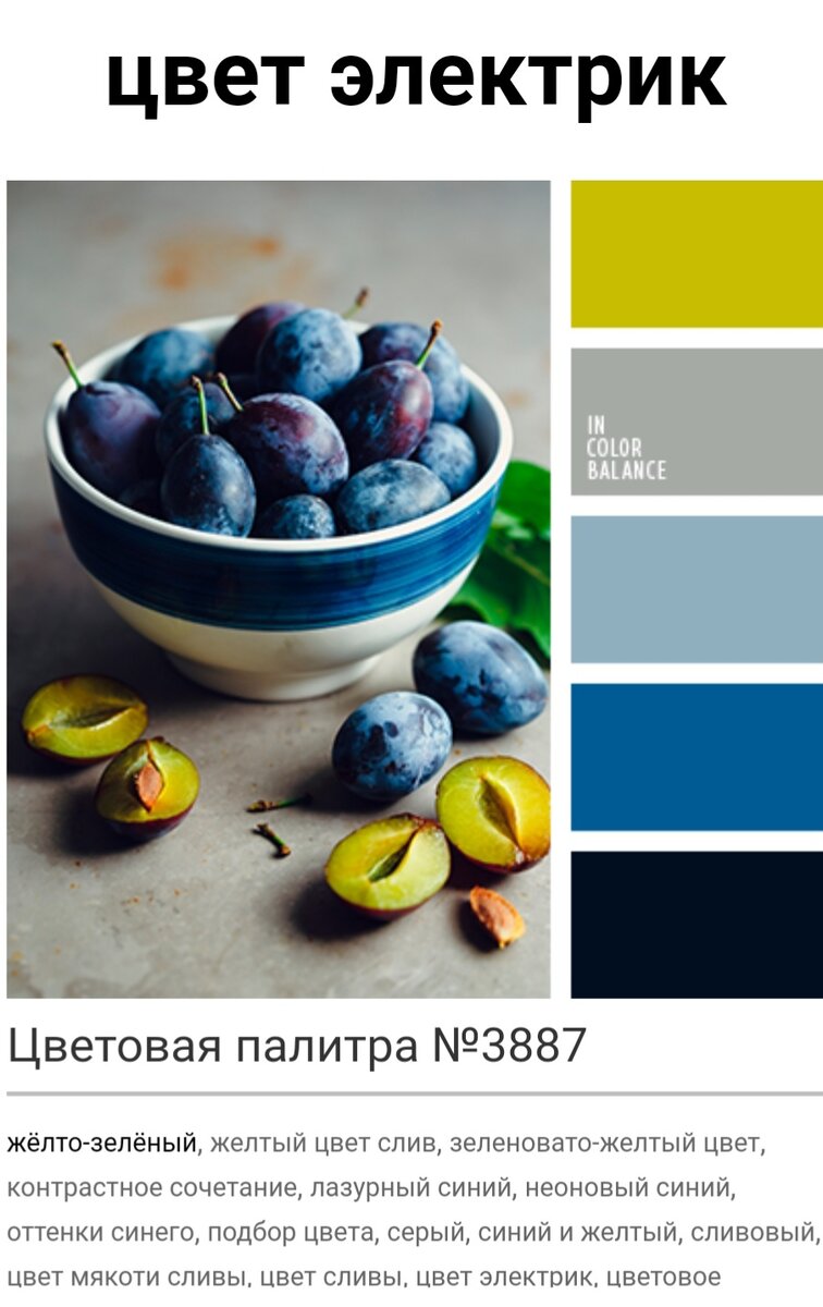 С чем сочетается электрик 