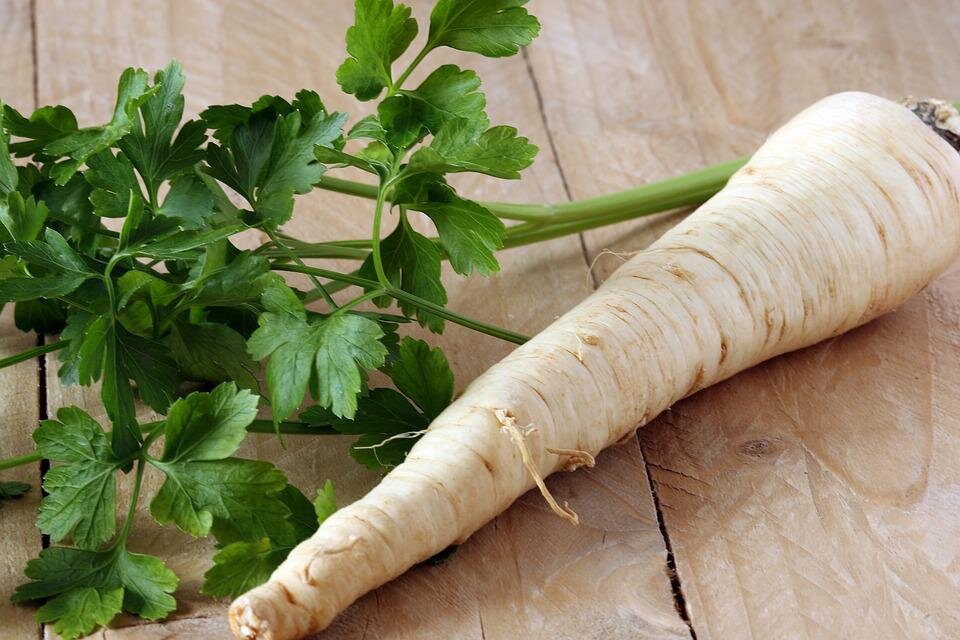 Корни петрушки едят и в свежем виде - трут в салаты. Вкусно получается! 