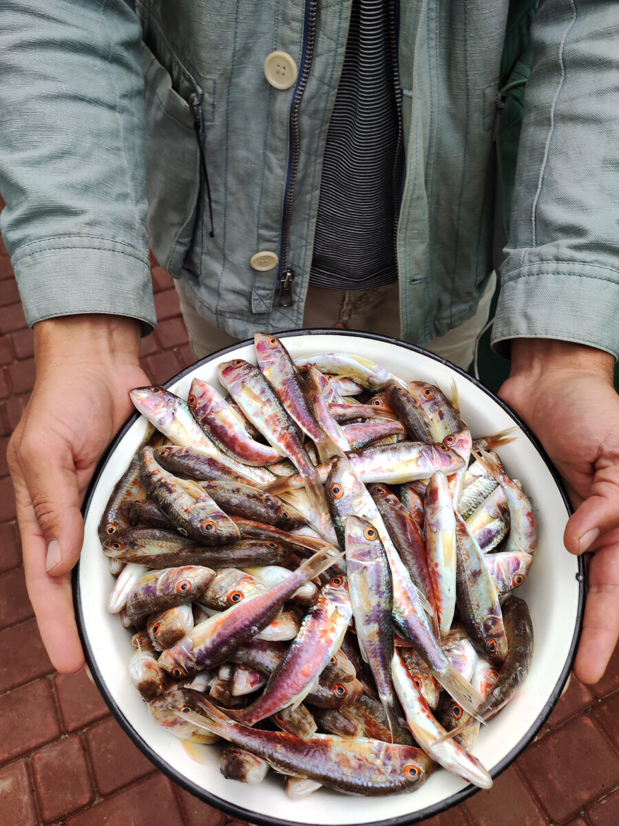 Стоимость около 600р за кг