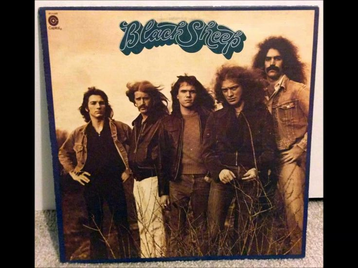 Black Sheep