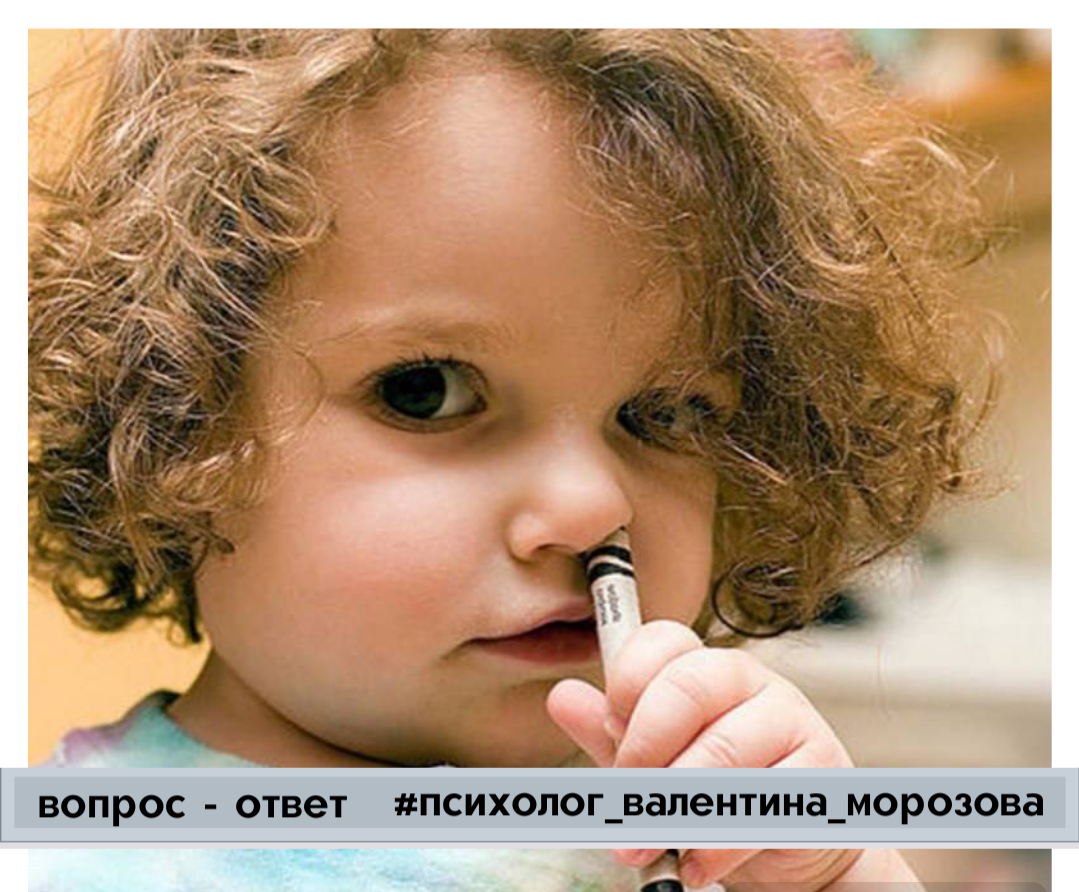 Фото взято из открытых источников