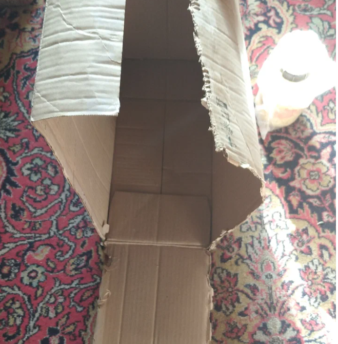 Скриншот с личного фото .