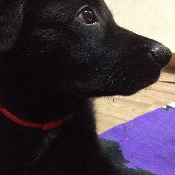 На этом фото Рону около 2-х месяцев