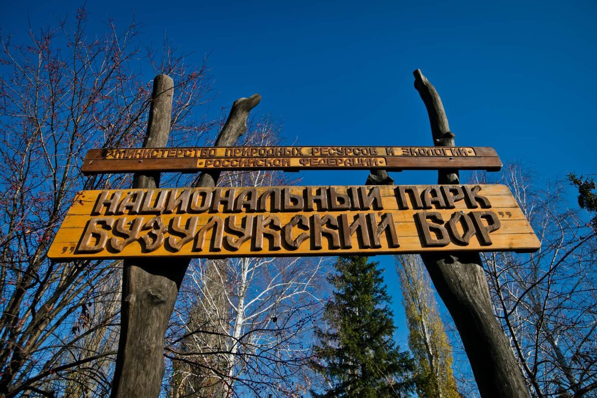 Национальный парк бузулукский бор