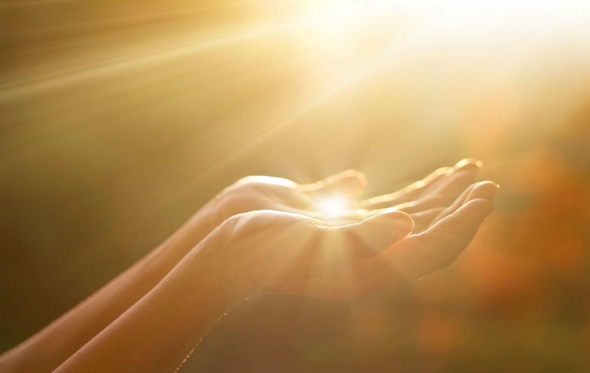 Фото из интернета.