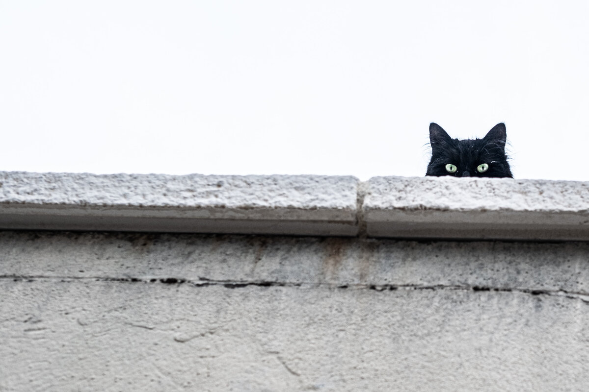 Photo by Clément Falize on Unsplash