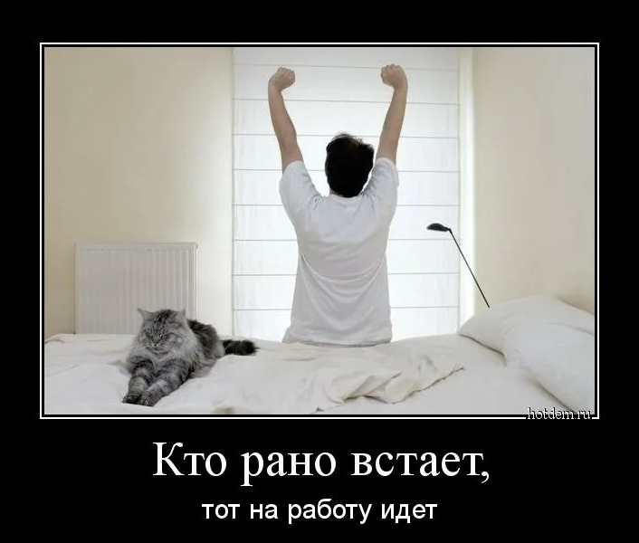 Картинка: интернет
