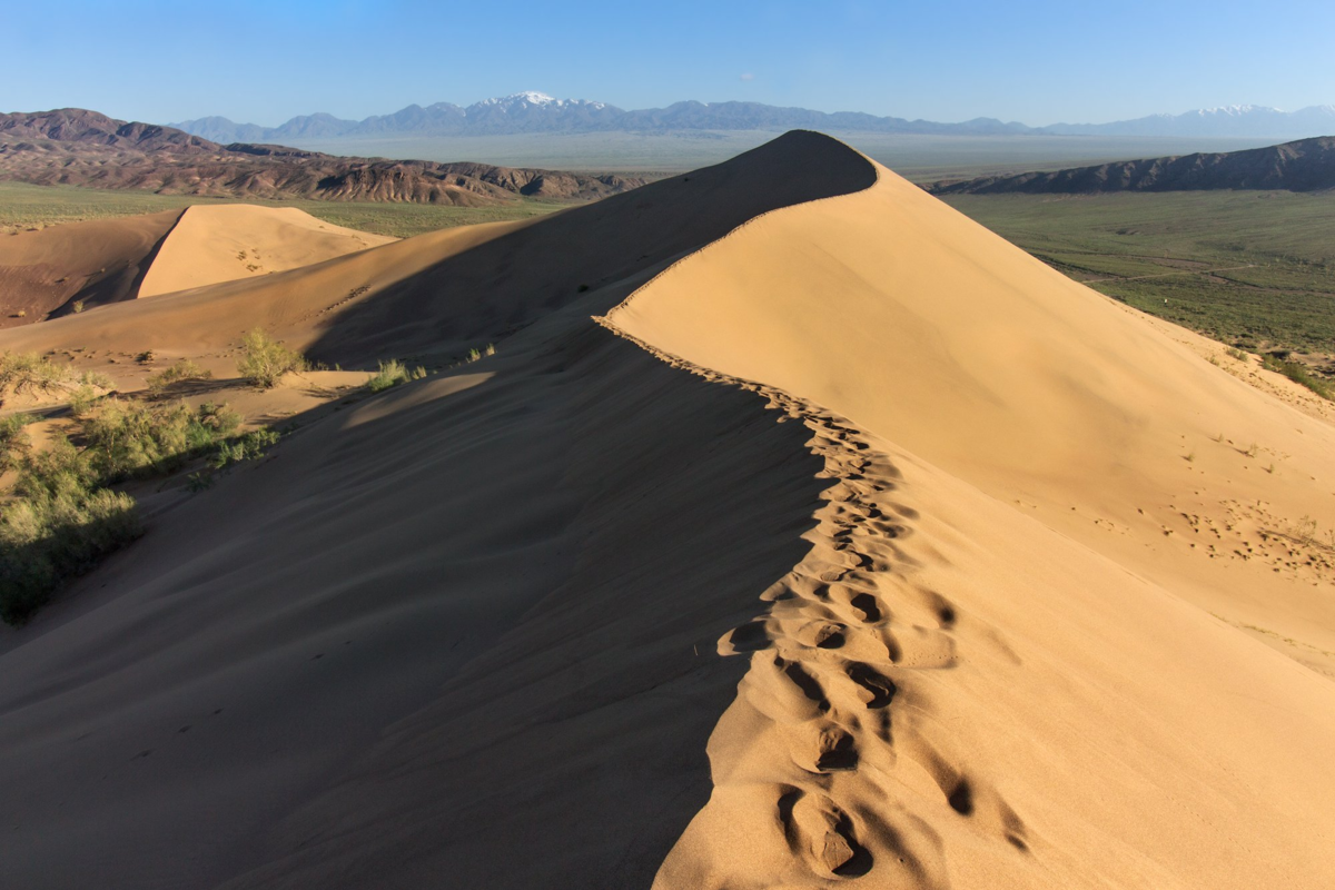 фото из интернет-источника 