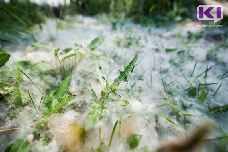 Фото из архива ИА "Комиинформ"