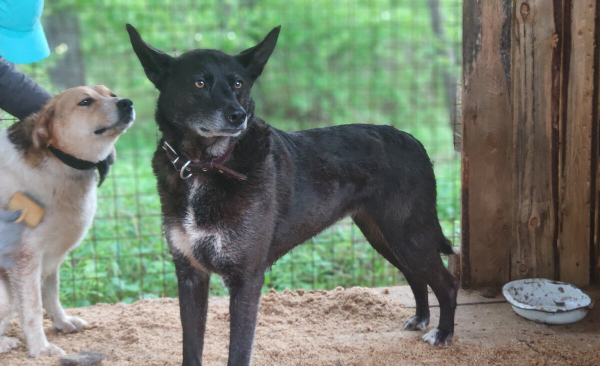 Туся, Яся и Марик.  Вы не видите Марика? Как? А Марик есть. Он просто Марик-невидимка. Ну просто очень скромный )))
