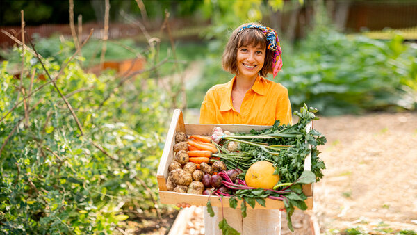 Обложка © Shutterstock