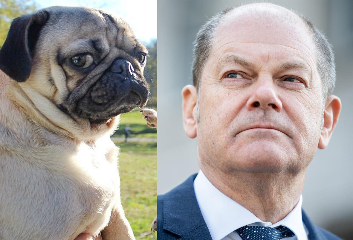 Еще носители печали во взоре...