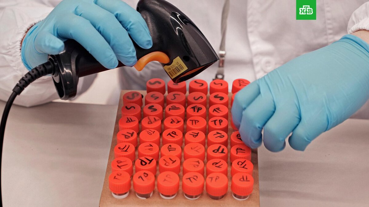    Фото: Associated Press © 2022, Vincent Yu