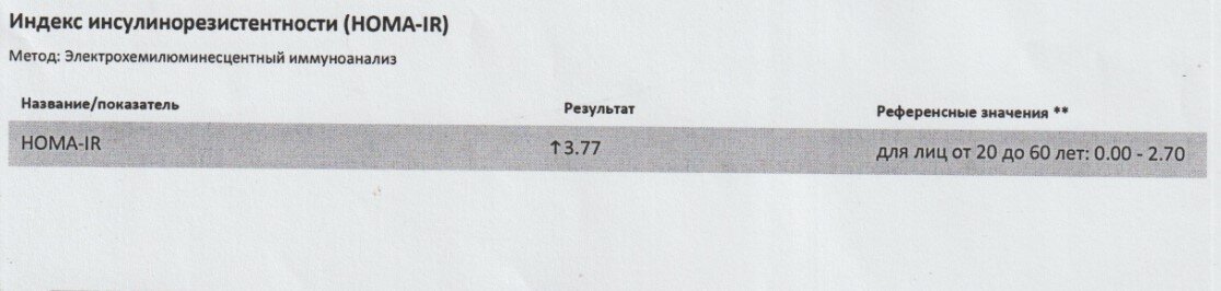 Индекс HOMA-IR: 3.77, повышен индекс инсулинорезистентности. Результат август, 2022 г.